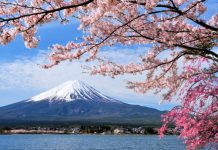 Foreign tourists to Japan in Spring 2021?