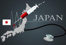 Survey on international patient services in Japan