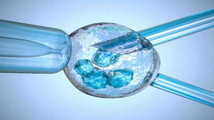 Stem Cell 1_1