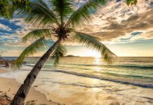 New intent to promote health tourism and new spa centres