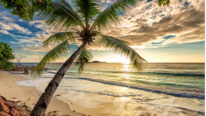 beach-at-sunset-picture-id664673050(1)