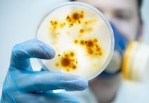European medical travel halted
