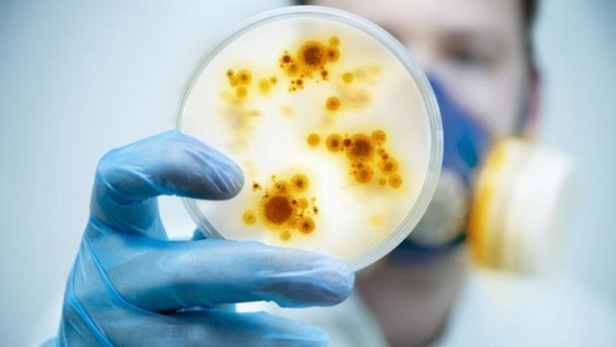 disease, outbreak, infection, virus, germs_0