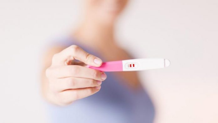fertility, pregnancy