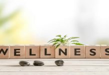 GWI paper on growing a wellness industry