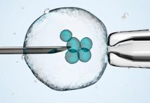 Global growth in fertility services