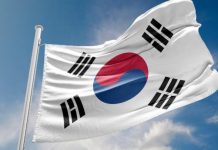 South-North Korea co-operation potential