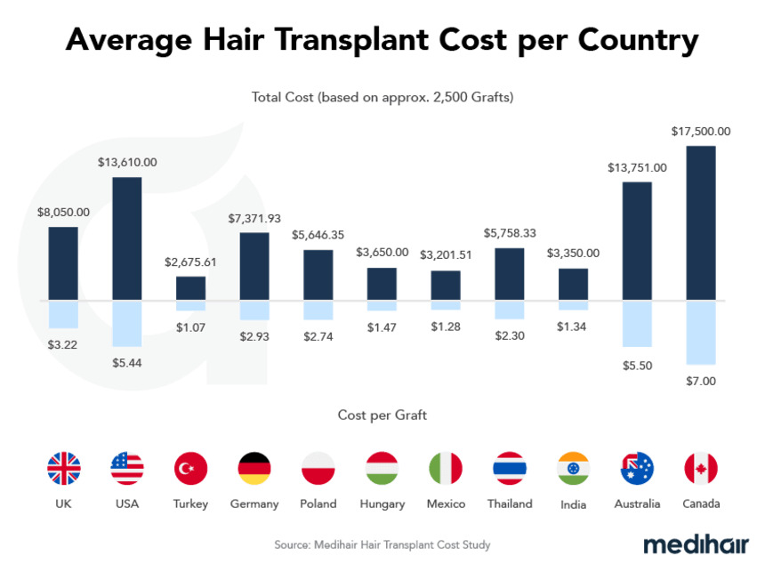 Hair Transplants: A flagship for medical tourism? - LaingBuisson News