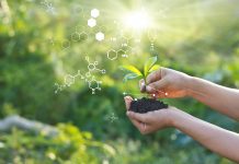 Investing in fertility: from seed to maturity