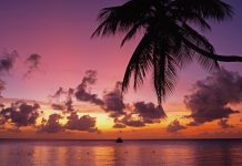 Tobago plan to develop wellness tourism