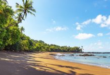 Costa Rica wellness tourism focus A beach in Corcovado national park, Costa Rica