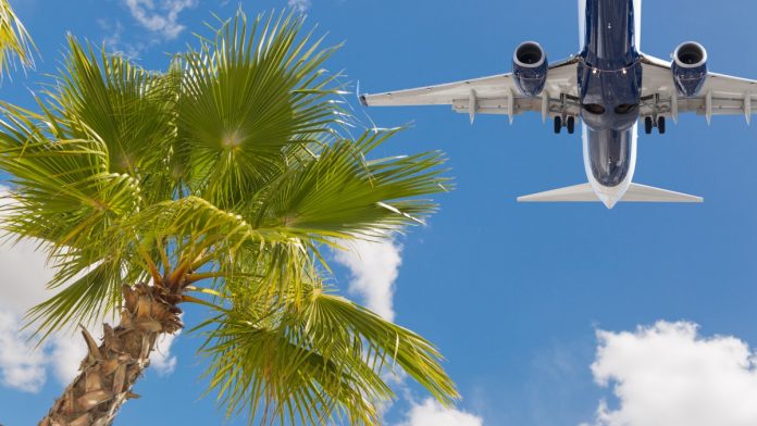 Airplane_palm_tree_iStock-1161416235