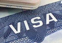 US borders open to all vaccinated travellers
