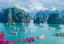 Vietnam: opportunities for health and wellness sector