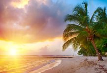 Barbados allows inbound vaccinated medical travel