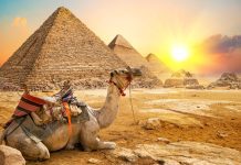 Egypt & Philippines: Middle East’s New Health Hubs