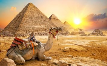 Egypt & Philippines: Middle East’s New Health Hubs