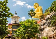 2022: “Visit Sri Lanka Year”