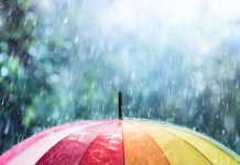Weathering the storm