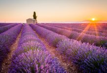 Self-pay: a journey to the sunlit uplands?