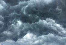 Swirling forces