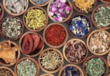 Major project to develop traditional Chinese medicine Traditional Chinese Medicine