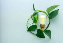 NHS Green planning