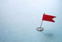 Transparency: thrive not survive