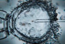 Care Fertility reports ‘positive growth’ following key acquisitions