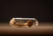 Clerkenwell Health launches professional course in psychedelic-assisted therapy