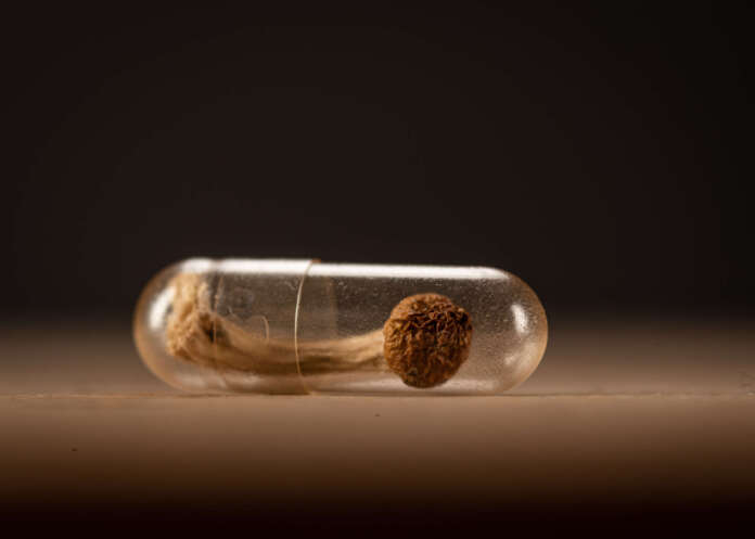 whole psilocybin mushroom inside a clear medicine capsule.on woo