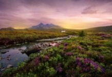 An evolving landscape
