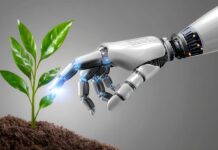 Empowering growth and productivity with AI