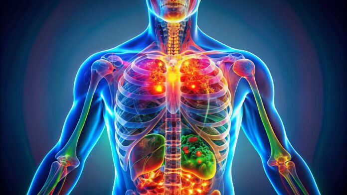 Colorful PET scan image revealing internal human body organs and tissues with vibrant hues highlighting areas of metabolic activity and potential disease indicators.