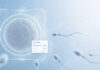 UK fertility market: harnessing digital to drive scale